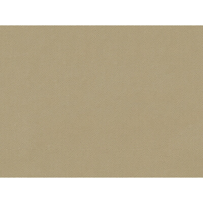 Kravet Contract LA MESA.106.0 La Mesa Upholstery Fabric in Taupe , Taupe , Tungsten